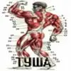туша