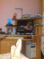 LCD-монитор Samsung SyncMaster 2233 фото