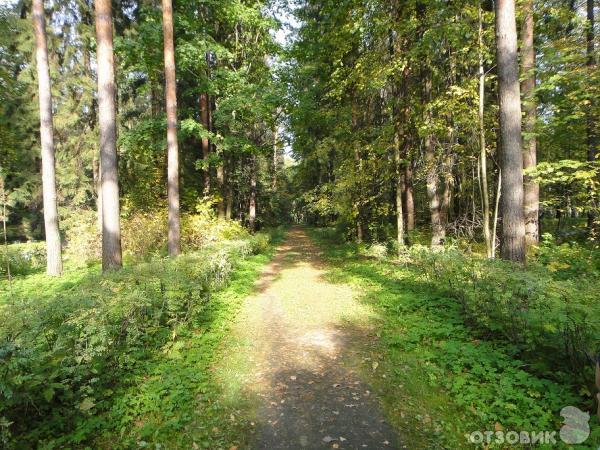 Павловский парк (Россия, Ленинградская область) фото