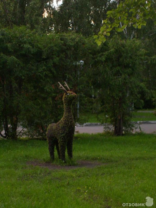 декоративный олень