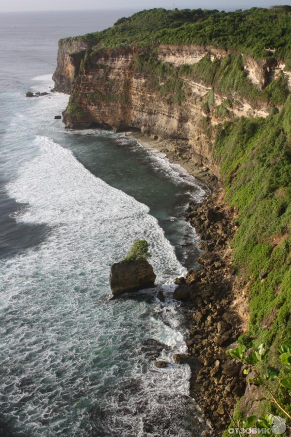 Парк обезьян (Индонезия, остров Бали) фото