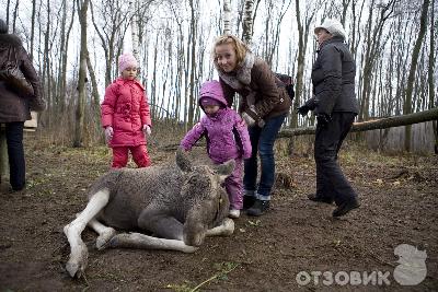 Дом отдыха Волжский прибой (Россия, Кострома) фото