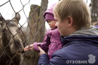 Дом отдыха Волжский прибой (Россия, Кострома) фото
