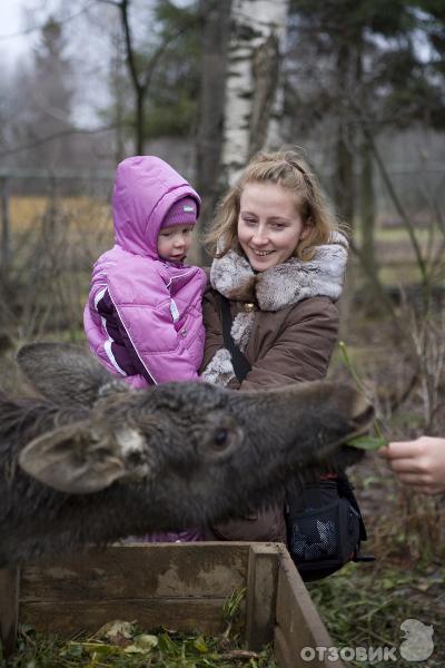 Дом отдыха Волжский прибой (Россия, Кострома) фото