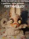 zakolebal