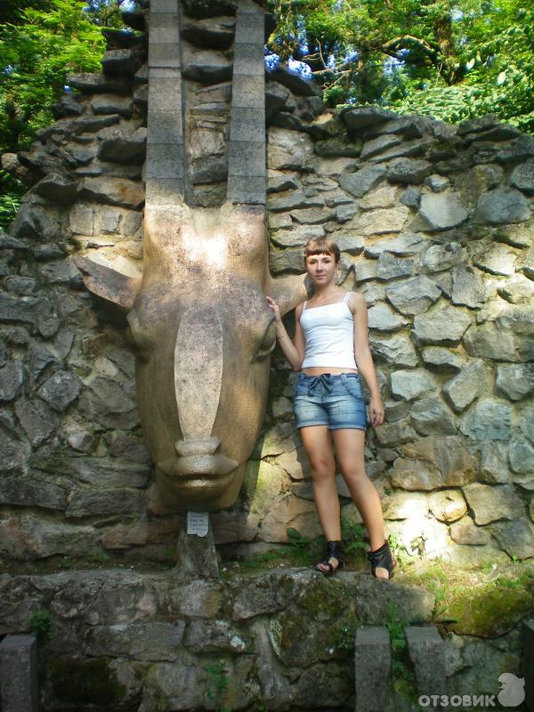 голова козлика