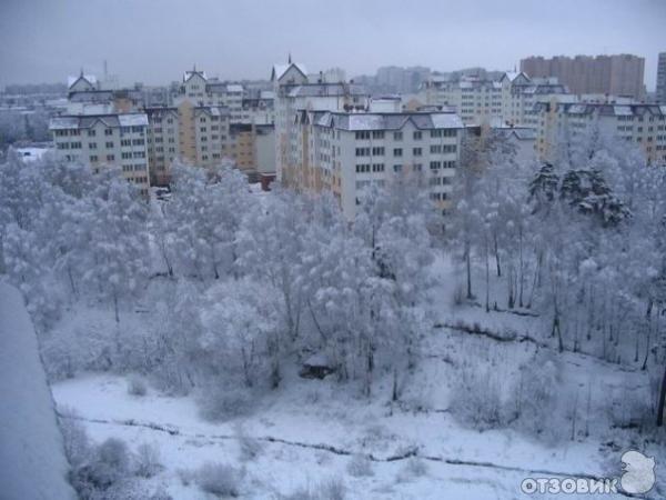 видное зимой