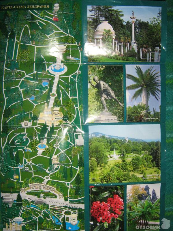 Карта сочинского дендрария. Сочинский дендрарий схема парка. Сочинский дендрарий план нижний парк. Как доехать из адлера до дендрарий. Как доехать из адлера до дендрарий.